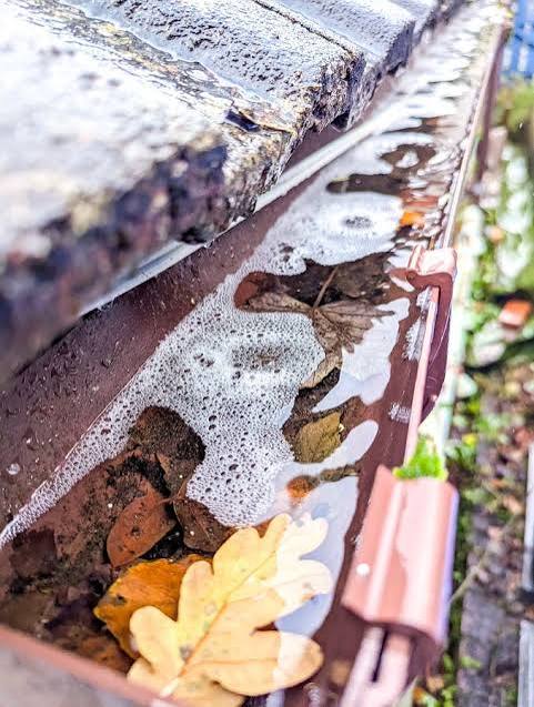 Standing water and leaves inside a blocked gutter